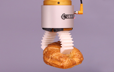 Croissant Packaging
