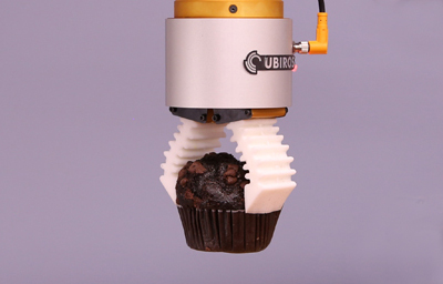 Muffin Packaging