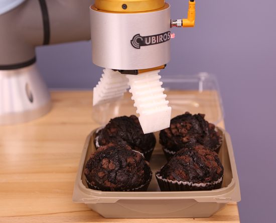 robot muffin robot muffin